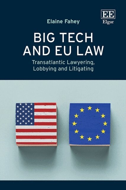 Elaine Fahey - Big Tech and EU Law, E-bok