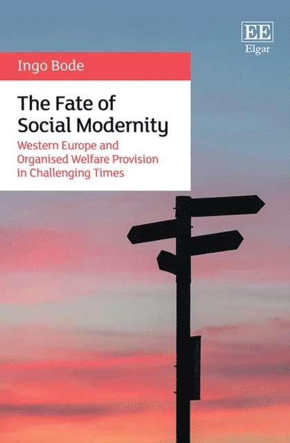 Ingo Bode - Fate of Social Modernity, E-bok