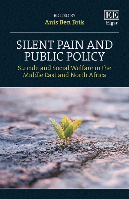 Anis Ben Brik - Silent Pain and Public Policy, E-bok