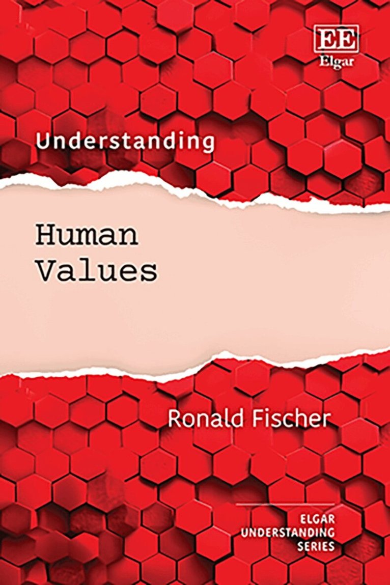 Ronald Fischer - Understanding Human Values, Inbunden. Tillgänglighet: Lägg i varukorg