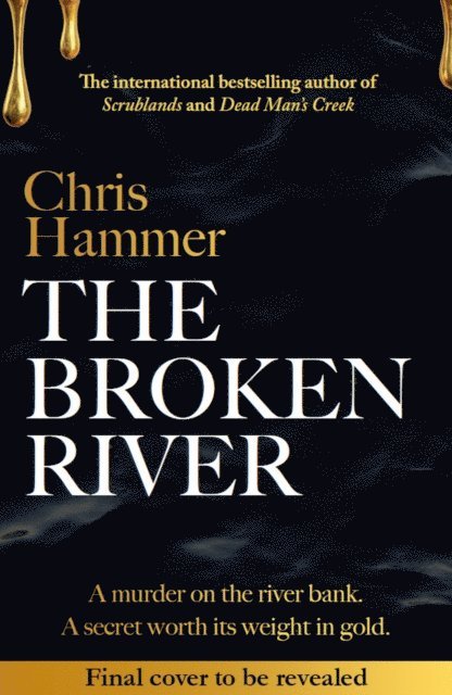 Chris Hammer - Broken River, E-bok