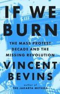 If We Burn: The Mass Protest Decade and the Missing Revolution