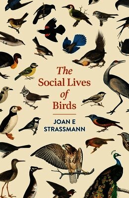 Joan E. Strassmann - Social Lives of Birds, Häftad