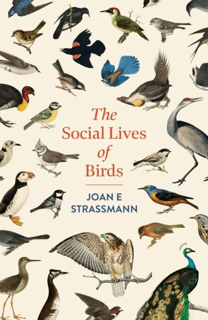 Joan E. Strassmann - Social Lives of Birds, E-bok