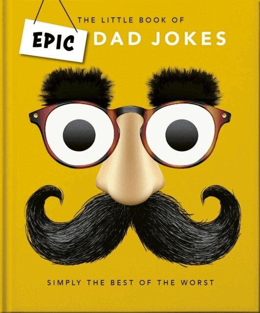 Little book of Epic Dad Jokes