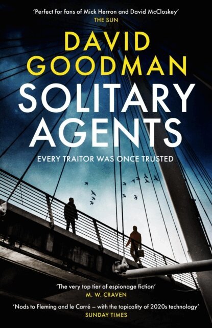 David Goodman - Solitary Agents, E-bok
