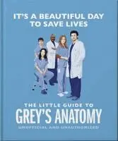 It's A Beautiful Day To Save Lives: The Little Guide to Grey’s Anatomy