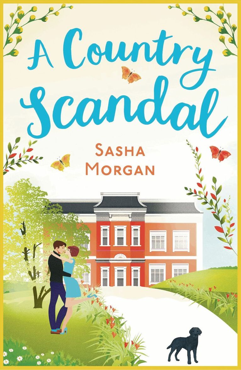 Sasha Morgan - Country Scandal, Häftad