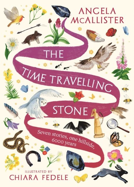 Angela McAllister - Time Travelling Stone, E-bok