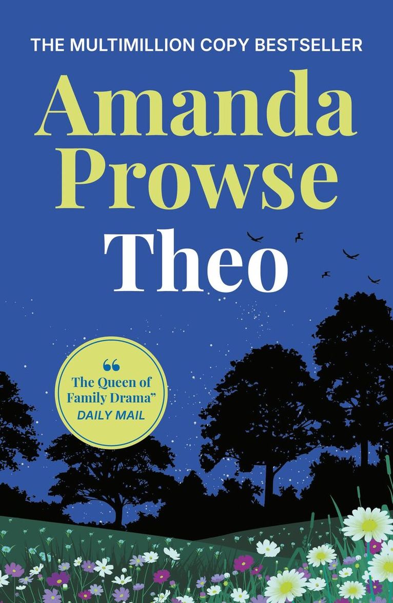 Amanda Prowse - Theo, Häftad