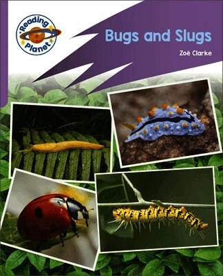 Zoe Clarke - Reading Planet: Rocket Phonics - First Steps - Bugs and Slugs (Lilac Plus), Häftad