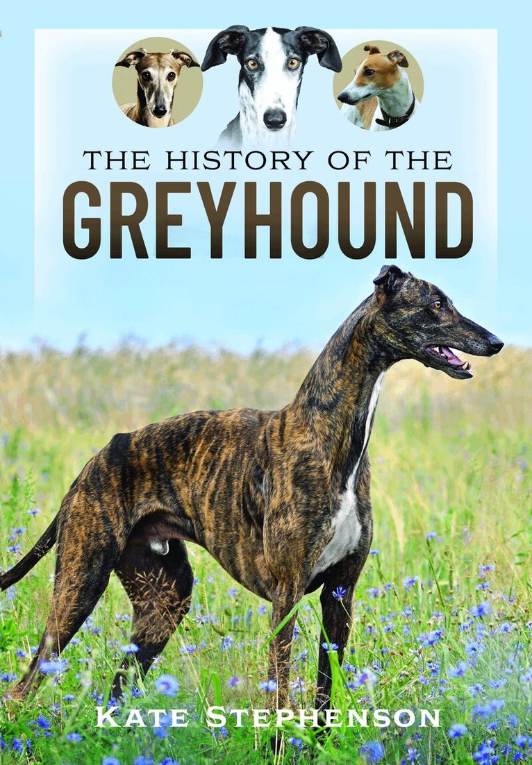 Kate Stephenson - History of the Greyhound, Inbunden. Tillgänglighet: Kommande