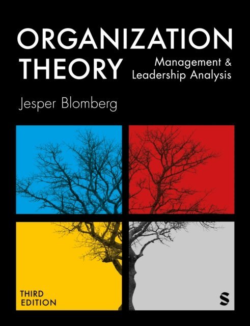 Jesper Blomberg - Organization Theory, E-bok