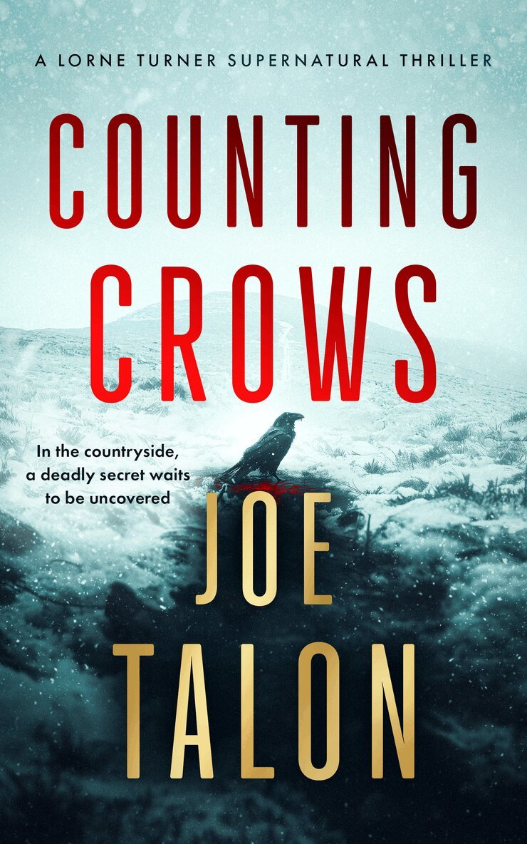 Joe Talon - Counting Crows, Häftad