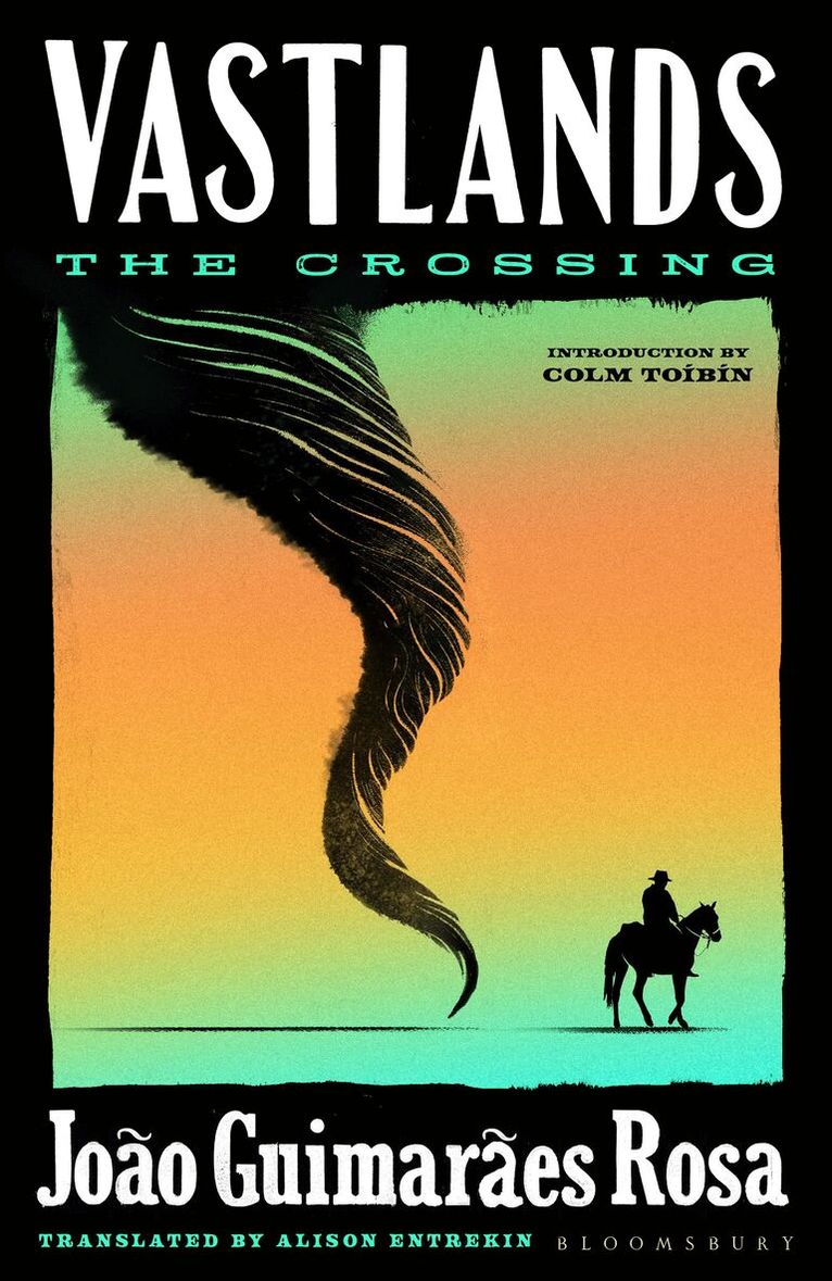 João Guimarães Rosa - Vastlands: The Crossing, Häftad