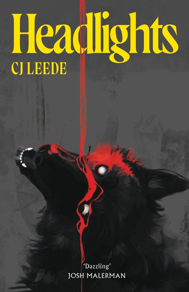 CJ Leede - Headlights, E-bok