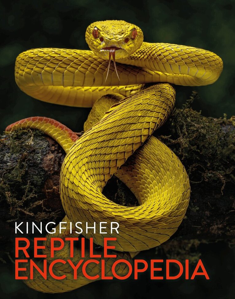 Kingfisher - Kingfisher Reptile Encyclopedia, Inbunden