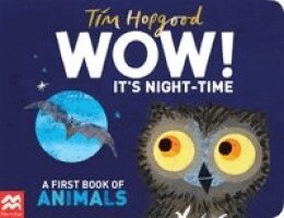 Tim Hopgood - WOW! It's Night-time, Kartonnage