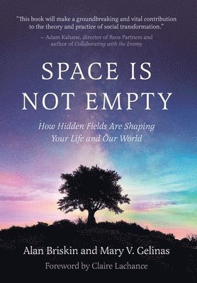 Alan Briskin, Mary V Gelinas - Space Is Not Empty, Inbunden