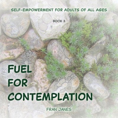 Fran Janes - Fuel for Contemplation, Häftad. Tillgänglighet: Lägg i varukorg