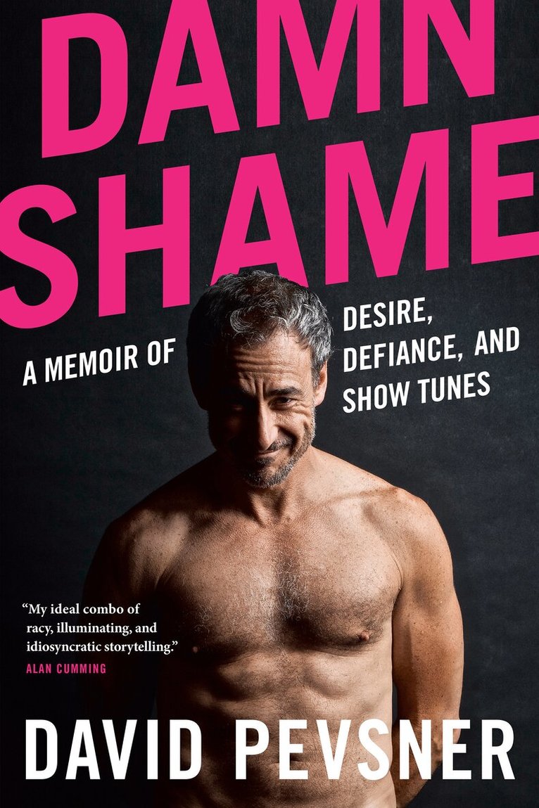 David Pevsner - Damn Shame, Häftad