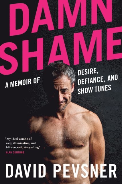 David Pevsner - Damn Shame, E-bok