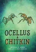 Ocellus &; Chitkin