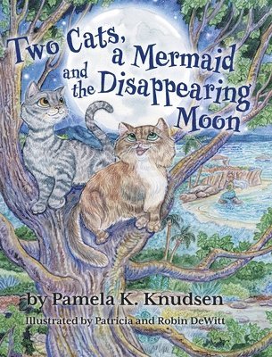 Pamela K Knudsen - Two Cats, a Mermaid and the Disappearing Moon, Inbunden. Tillgänglighet: Lägg i varukorg