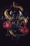 Jaskinia ?mij