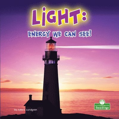 Julie K. Lundgren - Light: Energy We Can See!, Inbunden