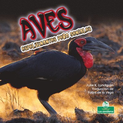 Julie K. Lundgren - Aves Espeluznantes Pero Geniales (Creepy But Cool Birds), Inbunden