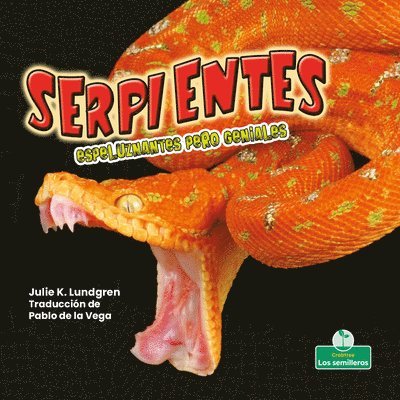 Julie K. Lundgren - Serpientes Espeluznantes Pero Geniales (Creepy But Cool Snakes), Inbunden