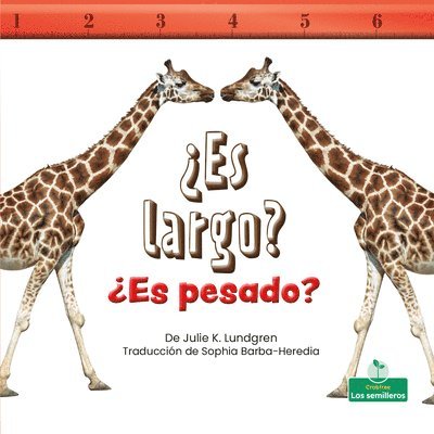 Julie K. Lundgren - ¿Es Largo? ¿Es Pesado? (Is It Long? Is It Heavy?), Häftad