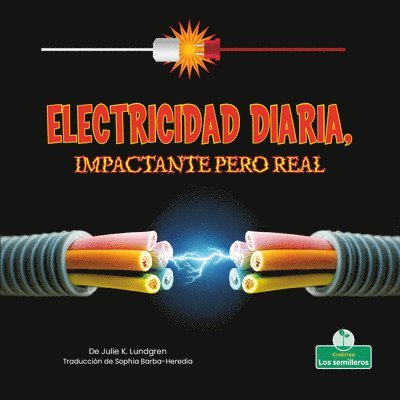 Julie K. Lundgren - Electricidad Diaria, Impactante Pero Real (Everyday Electricity, Shocking But True), Häftad