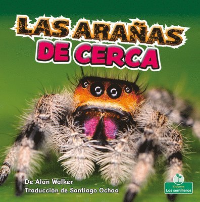 Alan Walker - Las Arañas de Cerca (Spiders Up Close), Häftad
