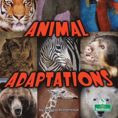 Patricia Armentrout - Animal Adaptations, Häftad. Tillgänglighet: Lägg i varukorg