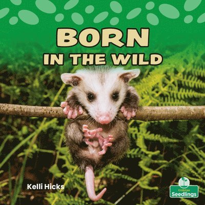 Kelli Hicks - Born in the Wild, Häftad. Tillgänglighet: Lägg i varukorg