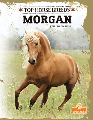Kerri Mazzarella - Morgan, Inbunden