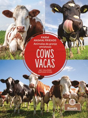 Amy Culliford - Vacas (Cows) Bilingual Eng/Spa, Inbunden