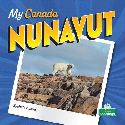 Sheila Yazdani - Nunavut, Inbunden