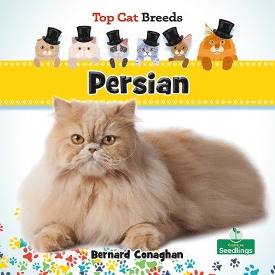 Bernard Conaghan - Persian, Häftad. Tillgänglighet: Lägg i varukorg