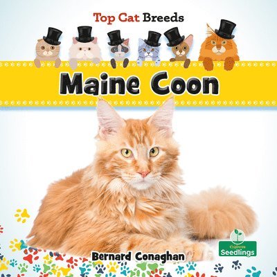 Bernard Conaghan - Maine Coon, Häftad. Tillgänglighet: Lägg i varukorg