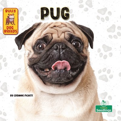 Corinne Fickett - Pug, Inbunden. Tillgänglighet: Lägg i varukorg