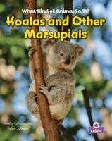 Molly Aloian, Bobbie Kalman - Koalas and Other Marsupials, Inbunden