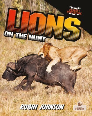 Robin Johnson - Lions on the Hunt, Inbunden