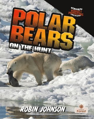 Robin Johnson - Polar Bears on the Hunt, Inbunden
