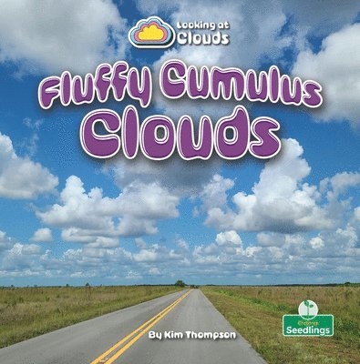 Kim Thompson - Fluffy Cumulus Clouds, Inbunden