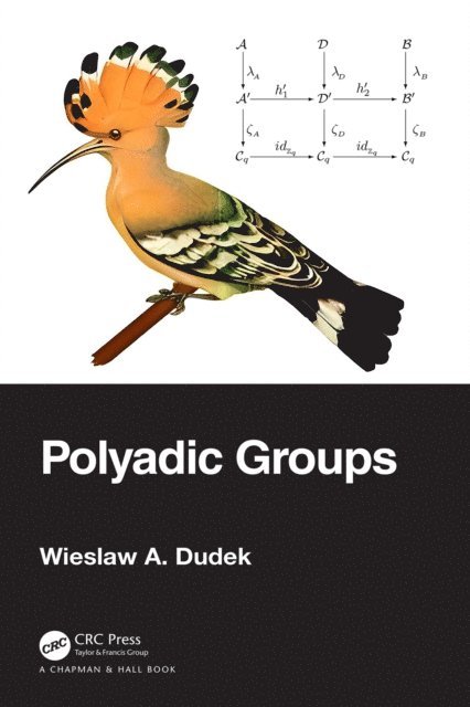 Wieslaw A. Dudek - Polyadic Groups, E-bok