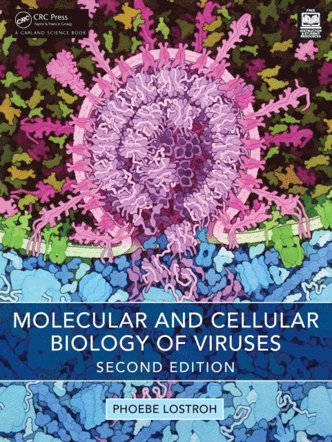 Phoebe Lostroh - Molecular and Cellular Biology of Viruses, E-bok