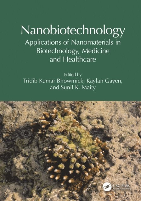 Sunil K. Maity, Kaylan Gayen, Tridib Kumar Bhowmick - Nanobiotechnology, E-bok